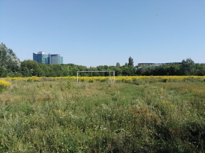 stadion szyca