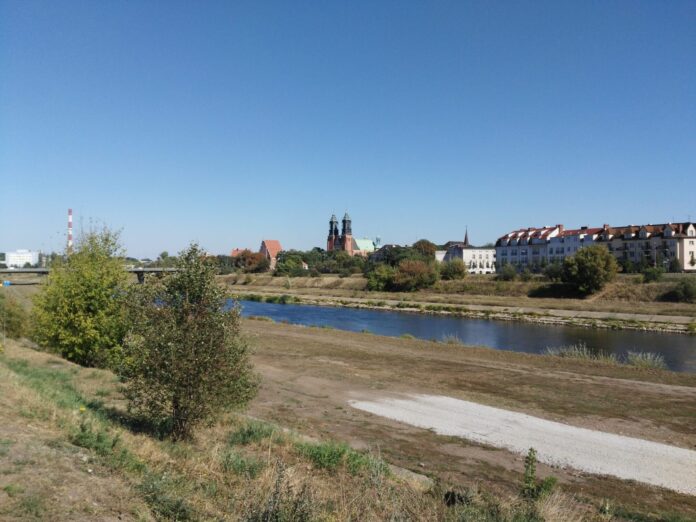 Warta