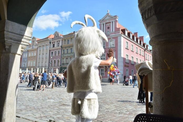 Stary Rynek fot. Karolina Adamska