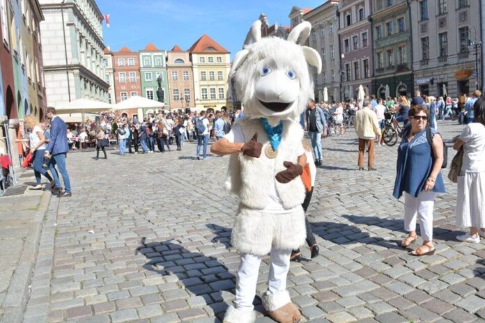 Stary Rynek fot. Karolina Adamska