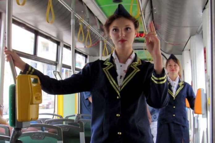 stewardessy