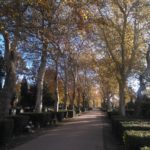 Parkowy cmentarz przy Wiśniowej