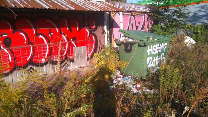 Wielkie sprzątanie w centrum Poznania