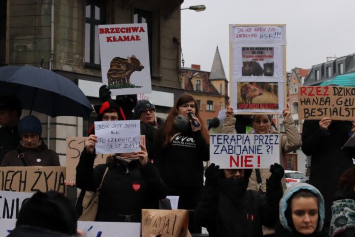 protest dziki