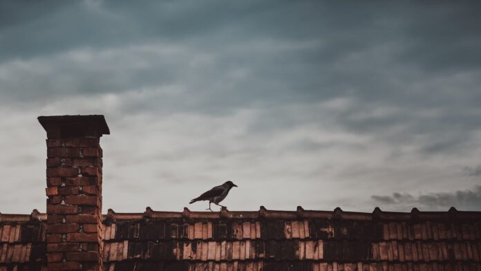 WZZK w Poznaniu. Będą kontrole dachów i przewodów kominowych