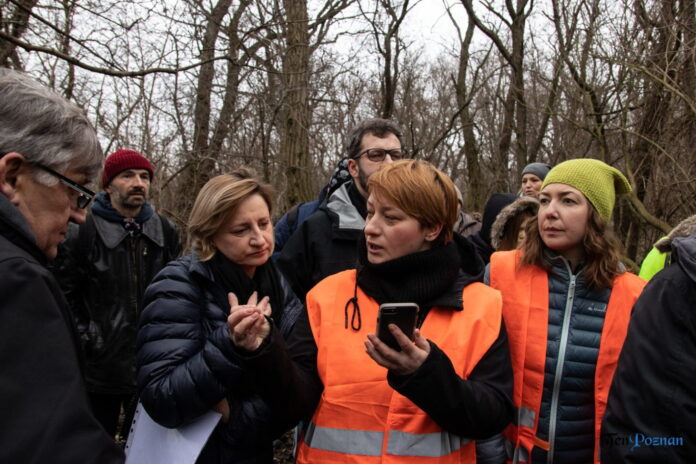 Poznań: Petycja mieszkańców osiedla Lotników w obronie zieleni wokół Fortu VII