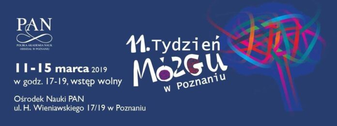 11. Tydzień Mózgu