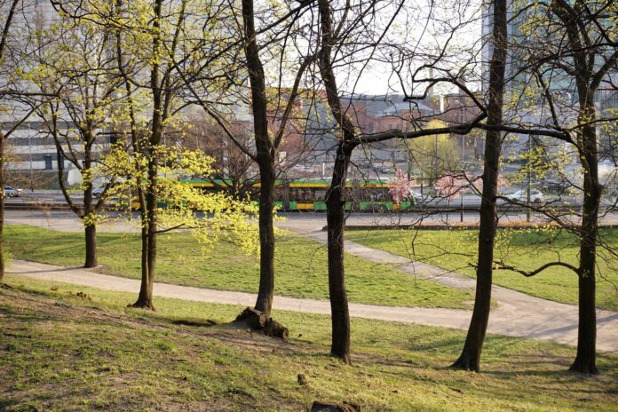 Park Drwęskich