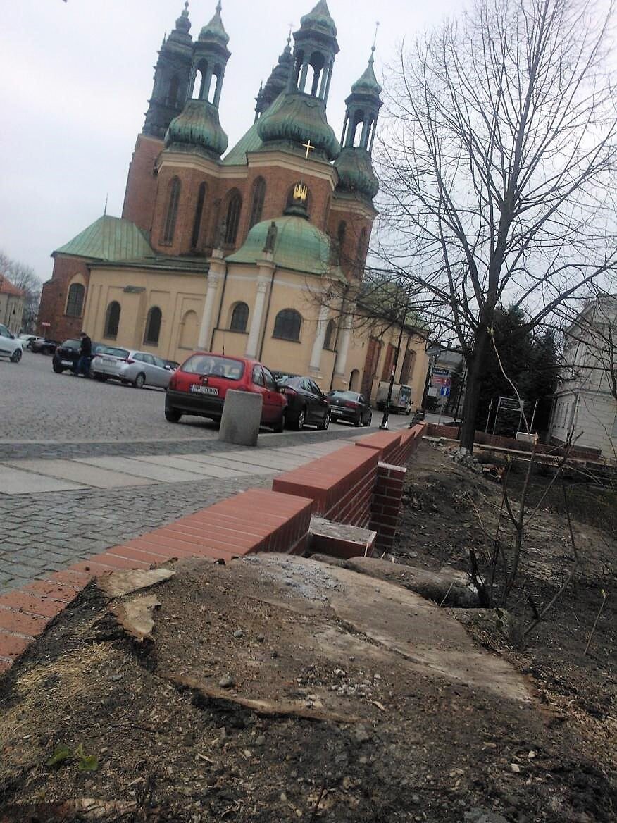 Miejski Konserwator Zabytków: na Ostrowie Tumskim wszystko dzieje się zgodnie z prawem
