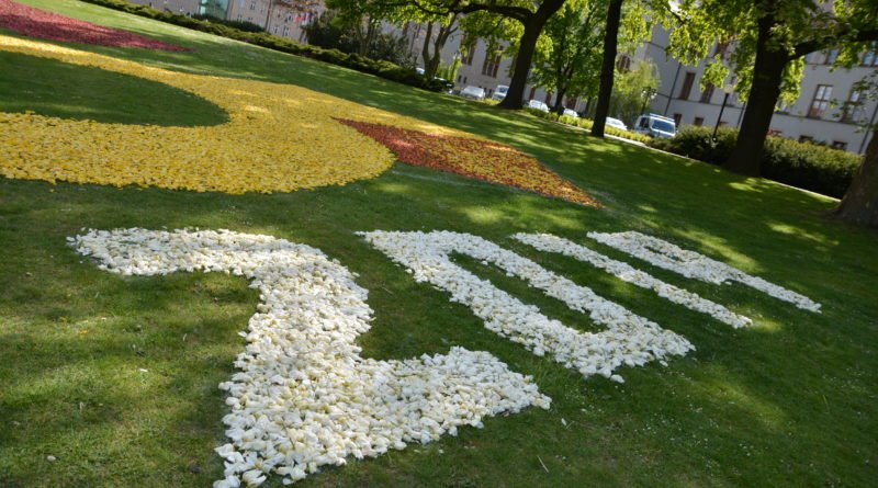 Poznań: W mieście powstały dywany kwiatowe (zdjęcia)