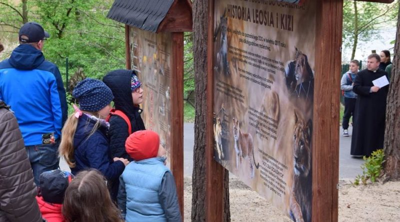 Poznański Budżet Obywatelski - jednym z projektów w poprzednich latach było schronisko dla lwów fot. Zoo Poznań