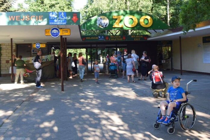 Noc Marzeń w zoo