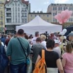 Poznań: Tort Wolności zjedzony!