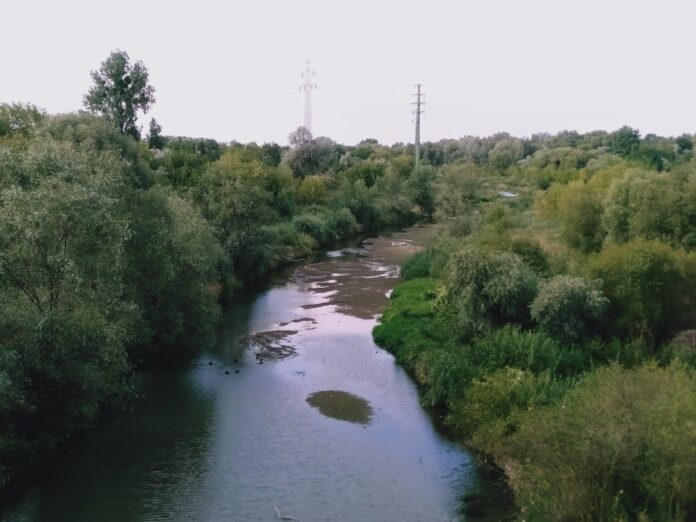 wysychająca Cybina, lipiec 2019