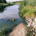 Poznań: W Cybinie nadal brakuje wody