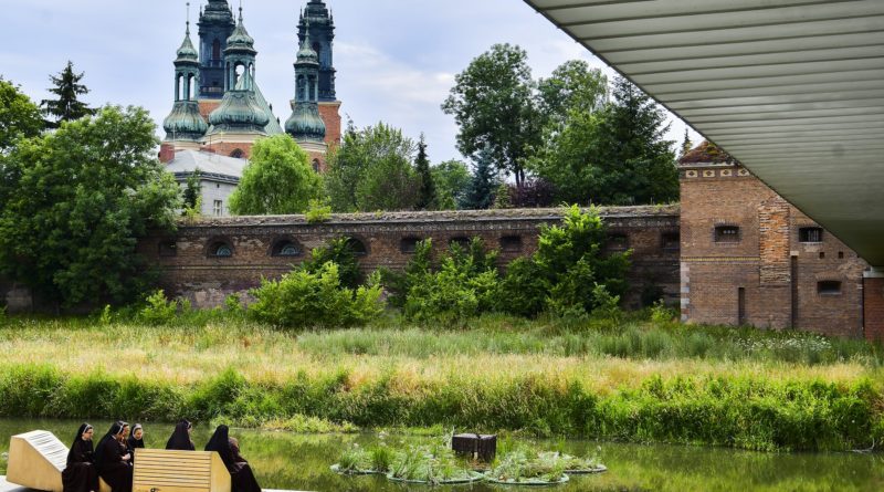 Poznań: Pływające ogrody na Cybinie (zdjęcia)