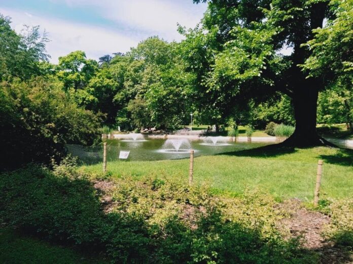 Park Wilsona