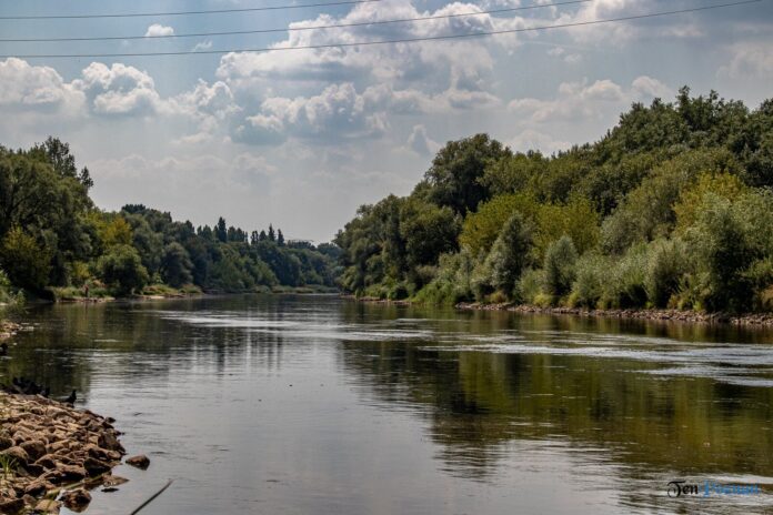 Z biegiem Warty i Cybiny. Warta Cybina fot. Sławek Wąchała
