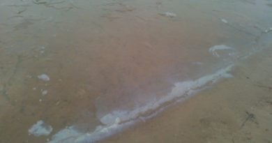 Owińska: Zakaz kąpieli w w Akwenie Tropicana!