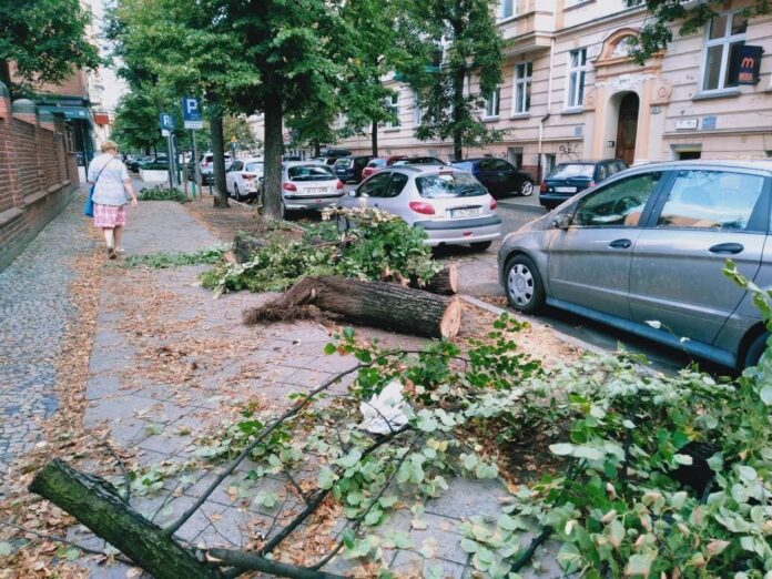 skutki burzy fot. czytelnik
