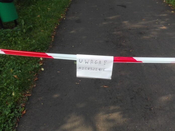 Szerszenie Wartostrada fot. RO Stare Winogrady