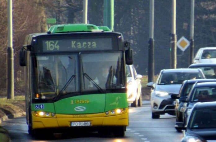 Autobus-linii-164 fot. ZTM