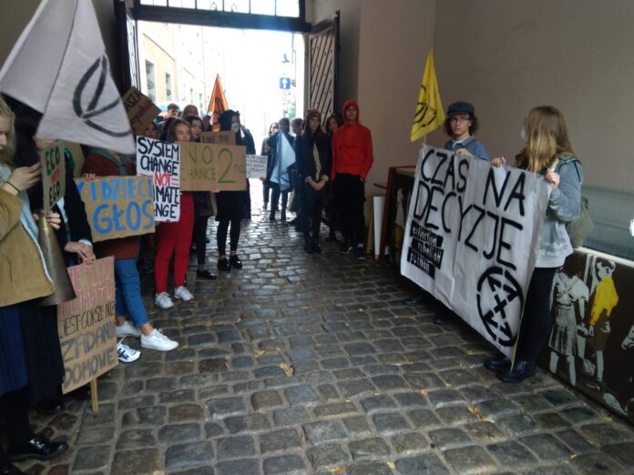 demonstracja Młodzieżowy Strajk Klimatyczny