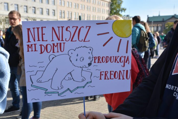 Młodzieżowy Strajk Klimatyczny fot. Karolina Adamska (27)