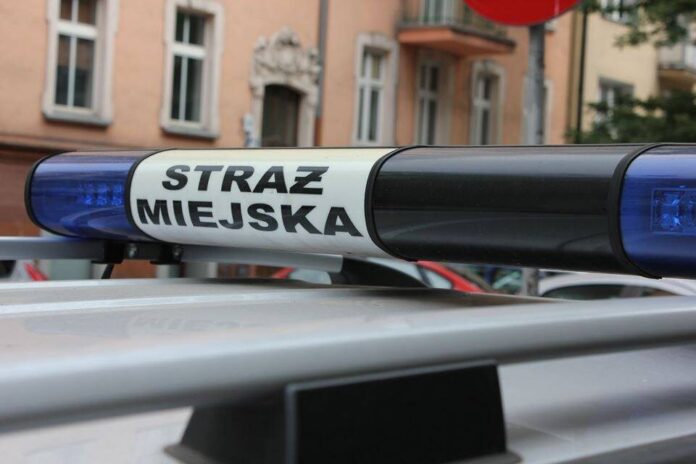 Straż Miejska fot. Straż Miejska