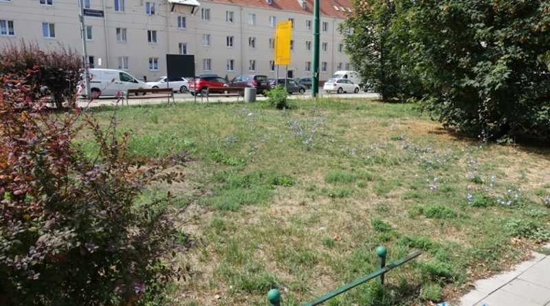 Poznań: Skwer u zbiegu Dąbrowskiego i Janickiego będzie kieszonkowym parkiem