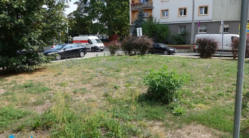 Poznań: Skwer u zbiegu Dąbrowskiego i Janickiego będzie kieszonkowym parkiem