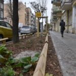 Poznań: Ulica Jackowskiego po remoncie śliczna, zielona i bezpieczna