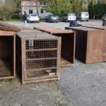 Poznań: Zoo kontra GIW - a wszystko z powodu tygrysów