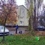 Poznań: Grabienie liści a... sprawa poznańska