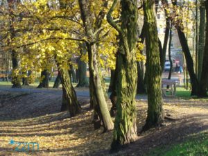 Poznań: Kolejny park został odnowiony [ZDJĘCIA]
