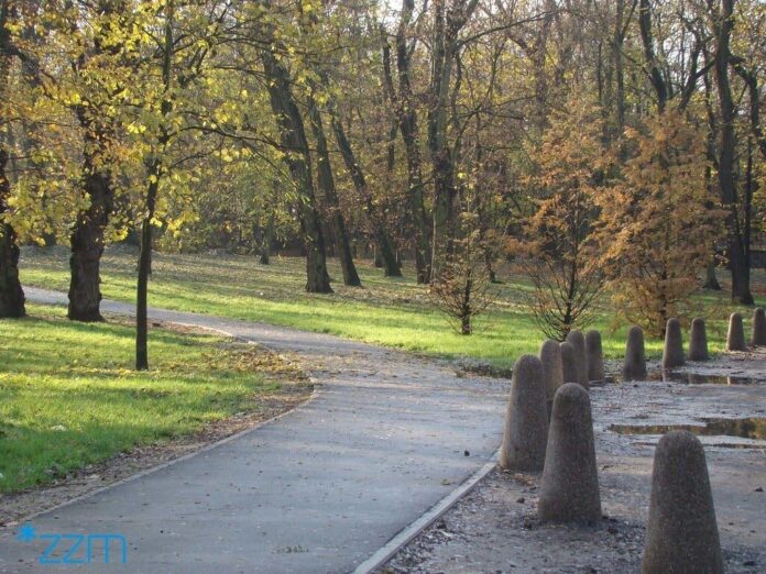park Lasek Dębiecki fot. ZZM