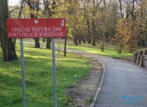 Poznań: Kolejny park został odnowiony [ZDJĘCIA]