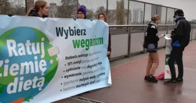 Poznań: Akcja uliczna "Wege dla klimatu"
