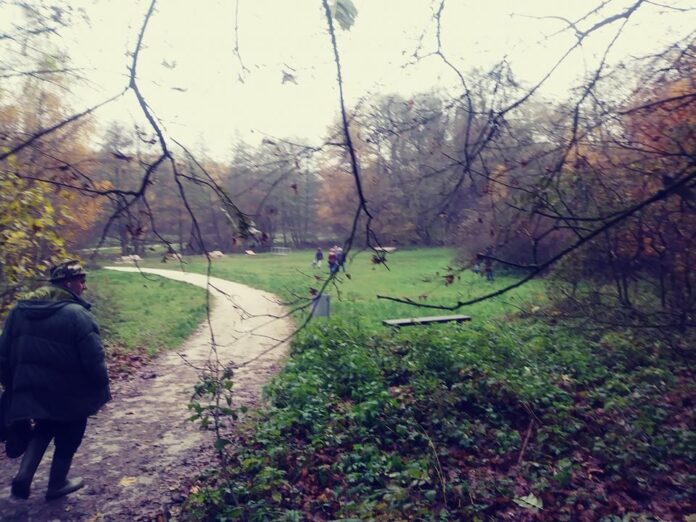 Sprzątanie doliny Cybiny2 fot.SMDC