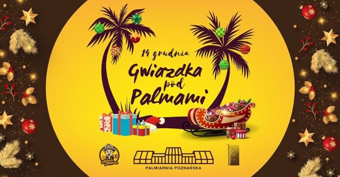 Gwiazdka fot. Palmiarnia Poznańska