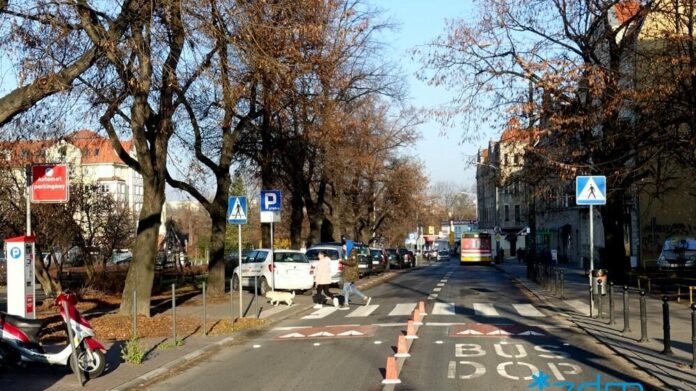 Jeżyce poduszki wyspowe fot. ZDM