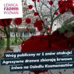 Poznań: Na osiedlu Kosmonautów trwa wojna o drzewa. I miejsce na procesję