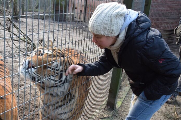Ewa Zgrabczyńska i tygrys fot. Zoo Poznań