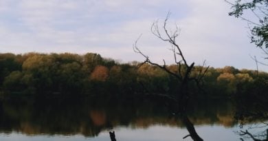 jezioro Rusałka