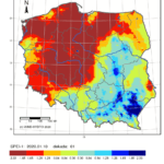 Poznań: Mamy suszę! Stan rzeki w styczniu najniższy od lat