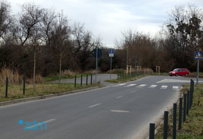 Nowe drzewa Politechnika Poznańska 2 fot. ZDM