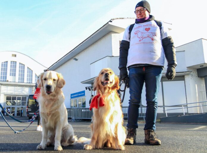 WOŚP golden retrivery 3 fot. S. Wąchała