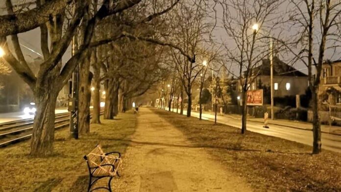 Al. Wielkopolska fot. ROS