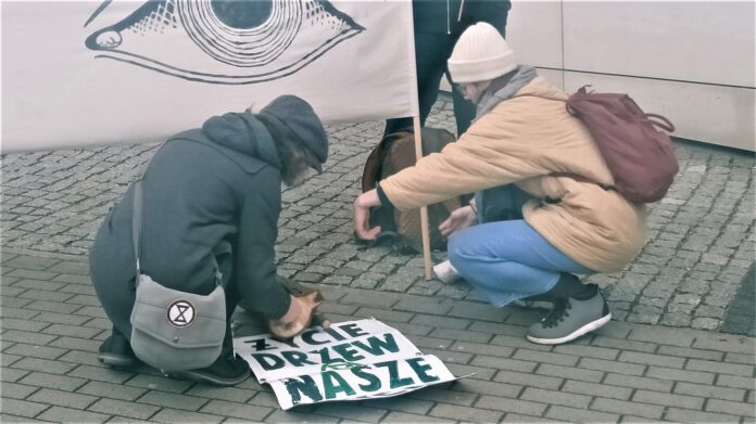 Demonstracja w sprawie drzew 5