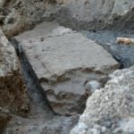 Poznań: Archeolodzy odkryli mur kolegiaty! I inne skarby...